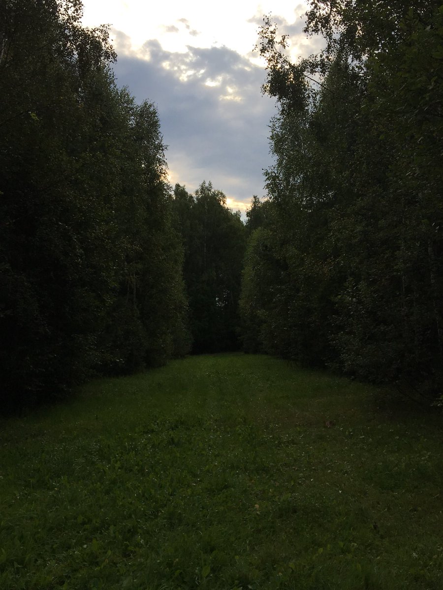 MigiSereja's tweet photo. в Никола-Ленивце ахуенно! https://t.co/n57WtgqxZg