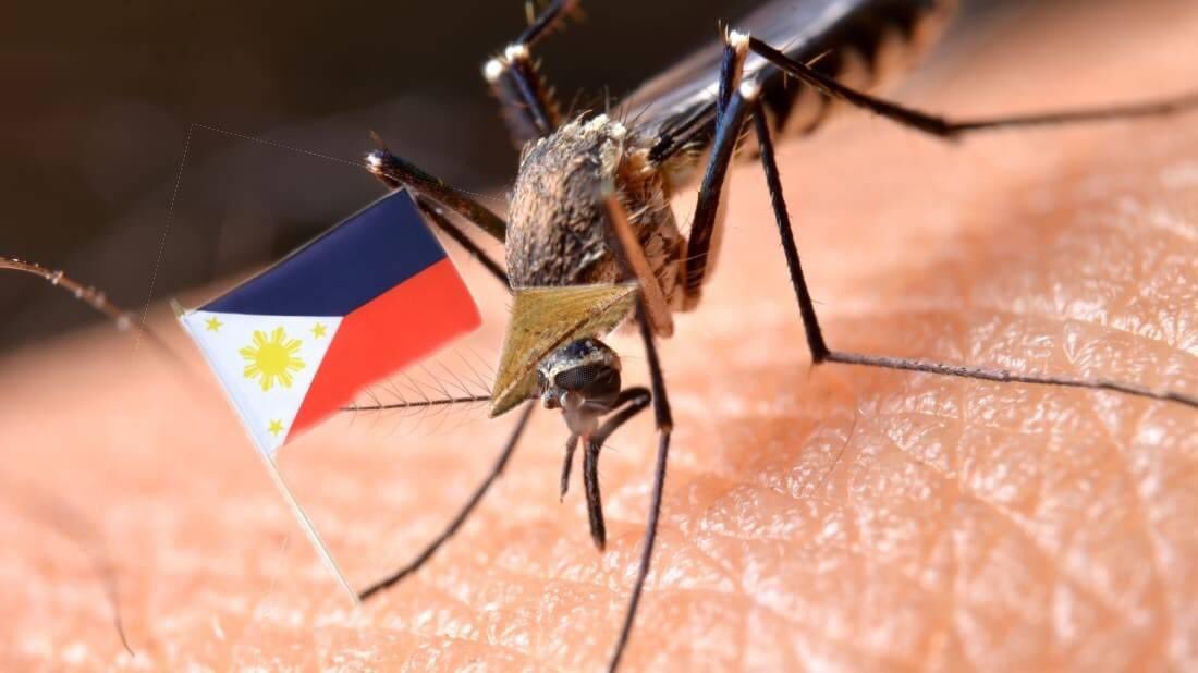 Pepsicollagen's tweet photo. a rare photo of a filipino mosquito planting the philippine flag on a chinese worker in bataan

#NationalAnimalOfThePhilippines https://t.co/4rpSrnS1QV