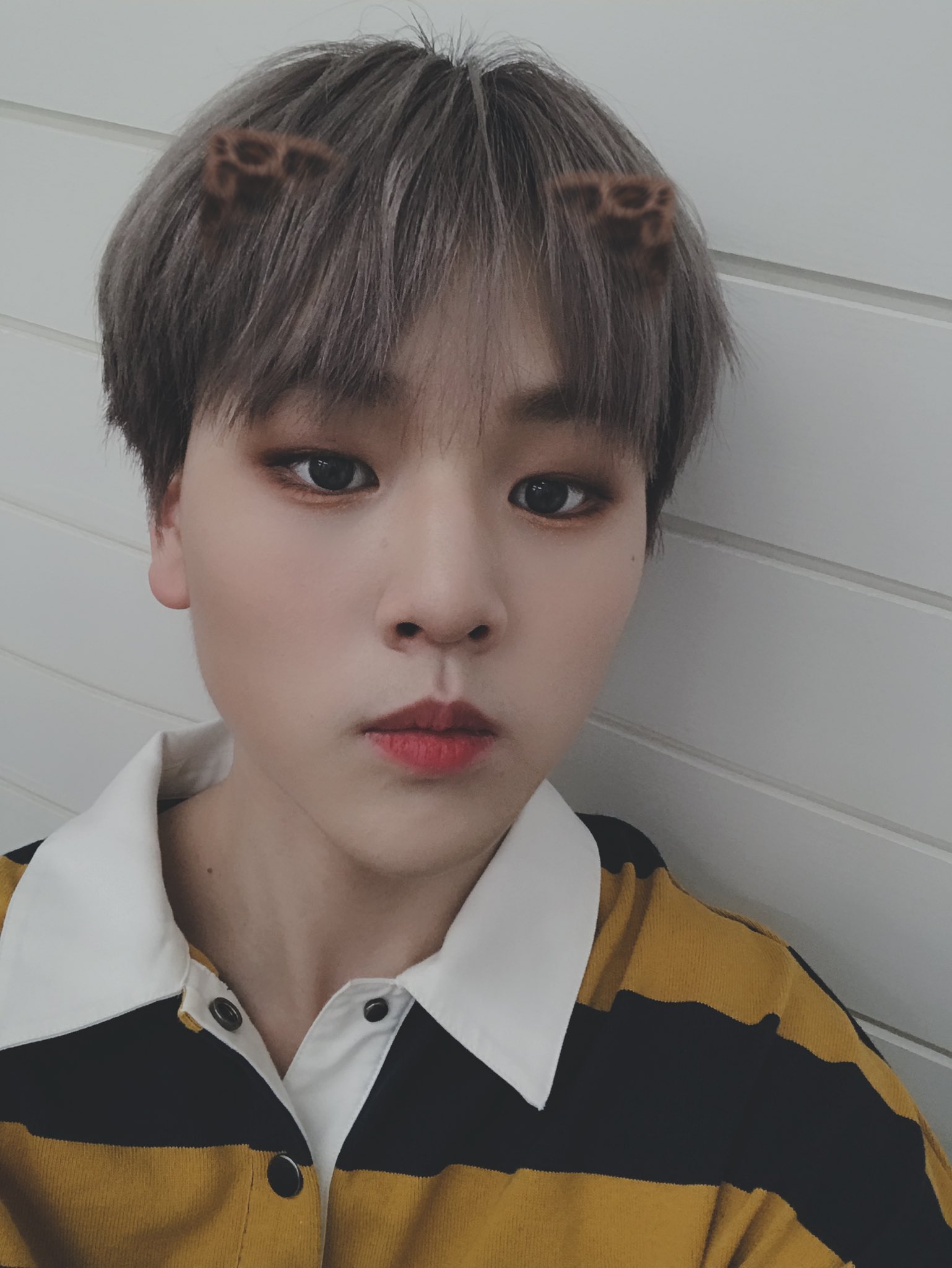 더쿠 - 💛 도현 멤트 💛
