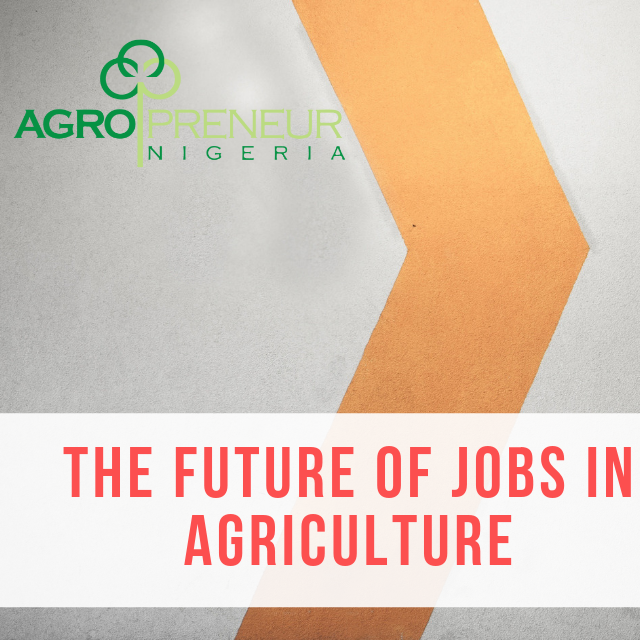 Agropreneurnig's tweet photo. It is no longer news that the Future of Agriculture is NOW and we have written an article to talk about the endless need for other professionals in Agriculture and how soon we need every hand on deck.
Kindly Read, comment, and Retweet.
https://t.co/QemLDTRKff
@RichardMunang https://t.co/pwDOf9rNSx