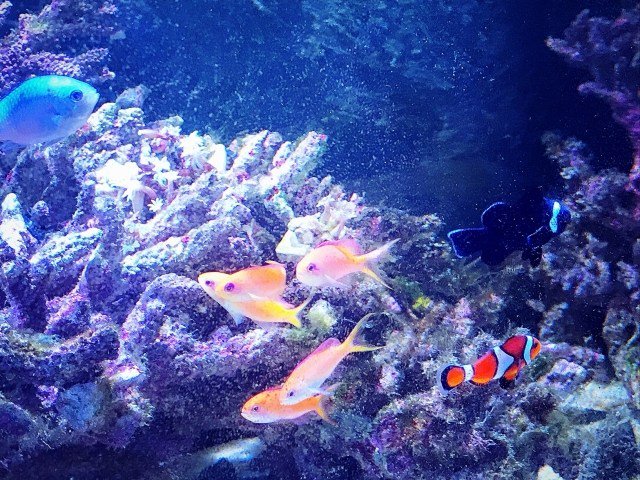 Hashtag ミズミミズ Auf Twitter Hashtag ミズミミズ Auf Twitter