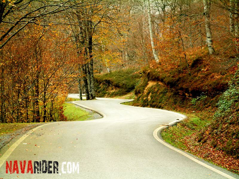 NavaRider's tweet photo. 🏍Ruta El Cocodrilo🐊Ruta corta de montaña por una #Navarra agreste, boscosa y verde bajo la cordillera del #Pirineo.
🗺 Todas las rutas en:  https://t.co/F2mHJBFFSL
❇️ Proyecto de: @TurismoNavarra @hostnavarra y @GerardMotorutas  

♦️Subvencionado por el Gobierno de Navarra https://t.co/GTpRHBrHlI