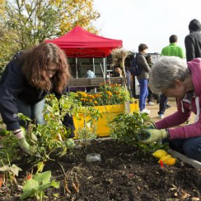 Better_UK's tweet photo. Have you got an idea to increase the health and wellbeing of your local community? #GLLcommunities can help make it a reality! Find out how: https://t.co/3wD921VHyg https://t.co/AB6soWzfKi