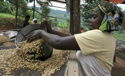 Epicureans Finance tweet media