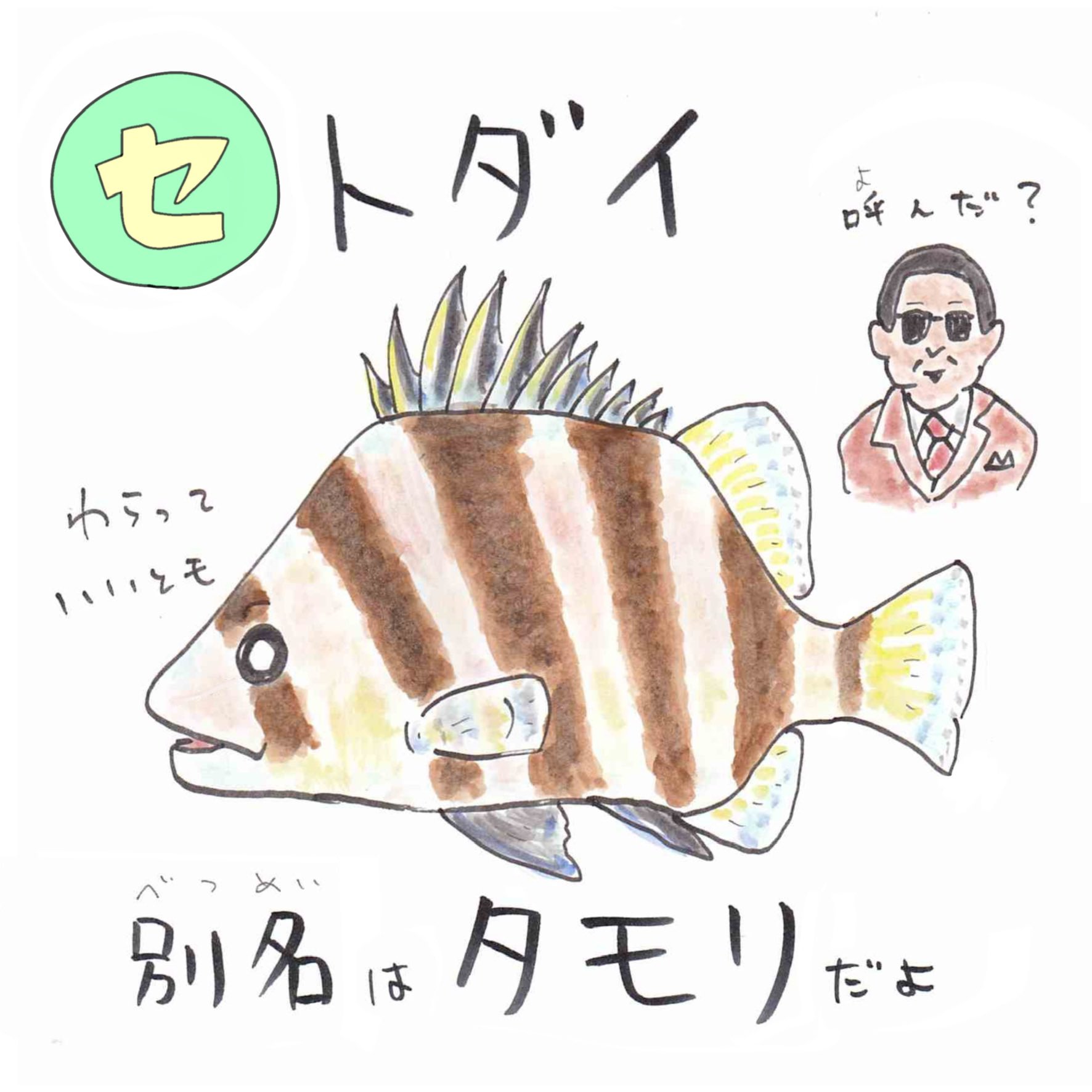 さかなのおにいさん かわちゃん ヌ ヌタウナギ 敵に襲われるとヌルヌルの粘液 ヌタ を出す 韓国では食べるしなんだったら皮で高級財布やカバンをつくる 厳密に言うと魚類でもない 超変なやつ あいうえおさかな 韓国グルメ T Co