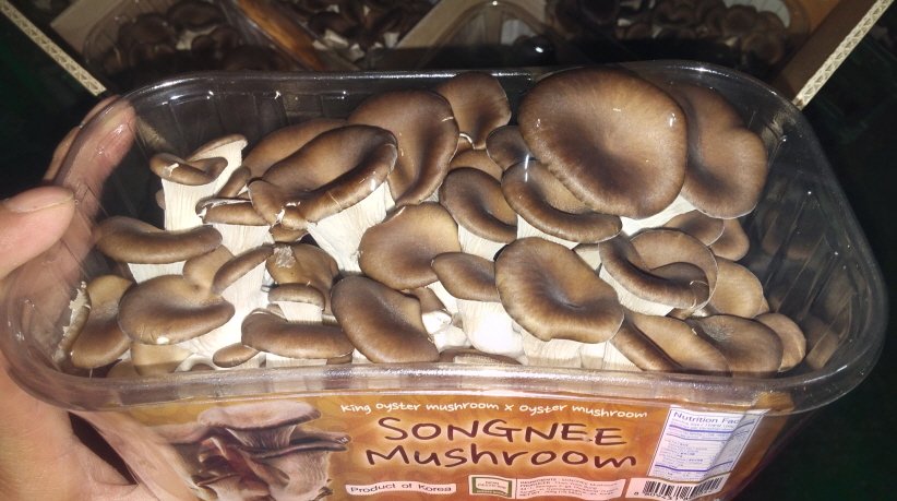 Banken Champignons tweet media