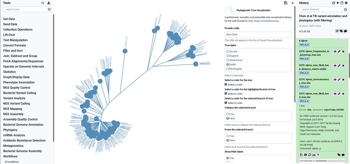 pvanheus's tweet photo. 107 M. tuberculosis samples with variants annotated and phylogeny built (data from DOI:10.3389/fmicb.2019.01741 highlighted by @danielkein) in < 1 day using @galaxyproject at @SANBI_SA with #COMBATTB (https://t.co/sPQhGdkeCA) tools @78034_3507 @ziphozakhe https://t.co/lpUCvsdV55
