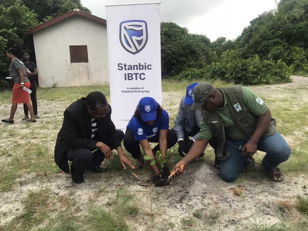 StanbicIBTC's tweet photo. Our CE, Dr Demola Sogunle and Head, Marketing and Communication Mrs Oyefeso-Odusami Bridget planting trees at the Lekki Conservation Centre. #StanbicIbtc@30 #MovingForward https://t.co/5nQmxUOt69