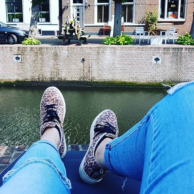 SWorldTraveller's tweet photo. Summer vibes 🌻

#enjoylife #travel #home https://t.co/oM3rkgs6M7 https://t.co/MOgOmxtpJ3