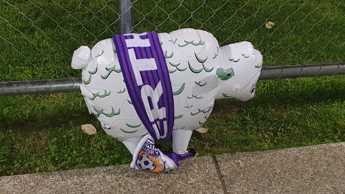 DollysOnTour's tweet photo. Where's the beer? #PERvMUM https://t.co/otEif0G3E2