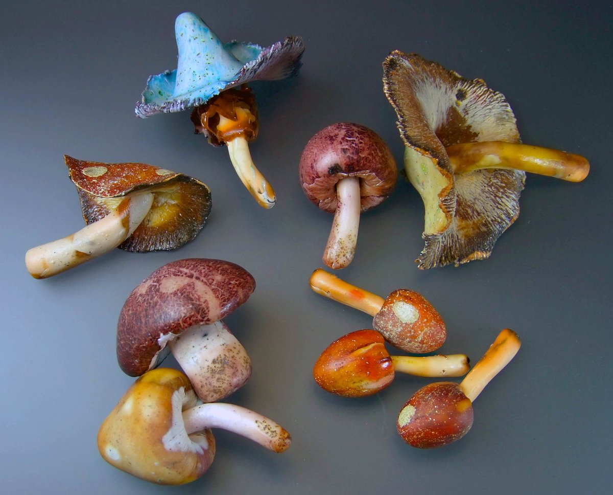 https://www.curiousmondo.com/realistic-mushrooms-polymer-clay-live . #polym...