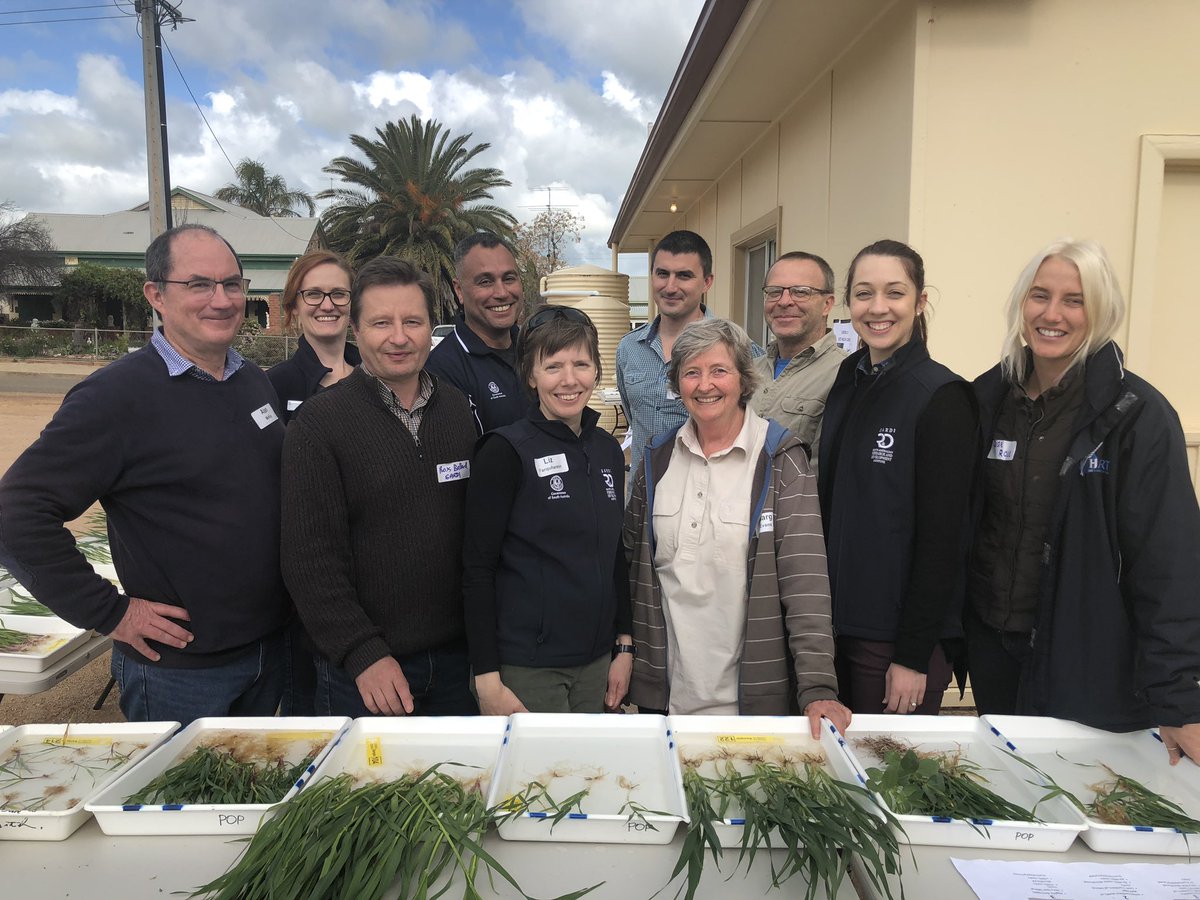 A great day to be on the road with SARDI researchers talking root diseases. Know before you sow!! Thanks to <a href="/SAGrainTrust/">SAGIT</a> #SARDIscience <a href="/AgCommunicators/">AgCommunicators</a>