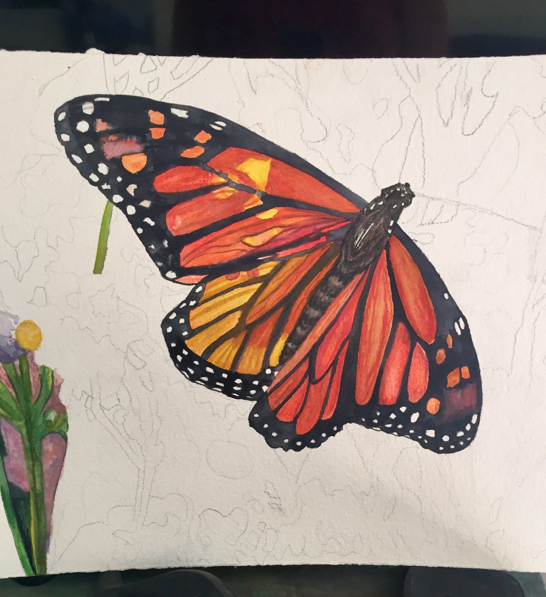 Work in progress in a tribute to my best friend who is in final stages of early onset Alzheimer’s #monarch#butterfly#forget-me-nots#Alzheimers#painting#watercolour