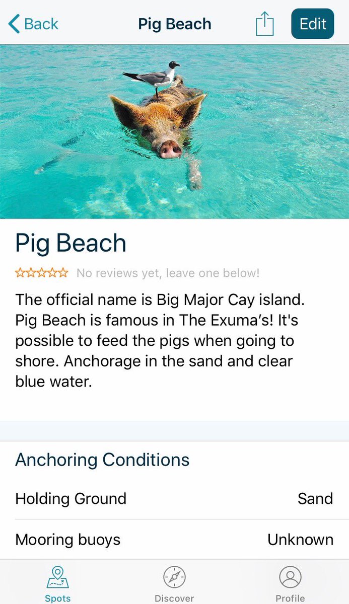 moorspots's tweet photo. Came across Pig Beach today in our App. This anchorage is located in Exuma, the Bahamas. Must be very special to visit this spot! #pigbeach #exuma #sail #discover #share #boating https://t.co/Nr32aVlnKT