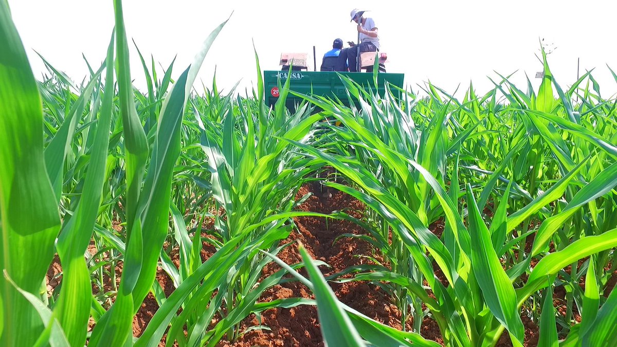 GAP Hassas Tarım tweet media