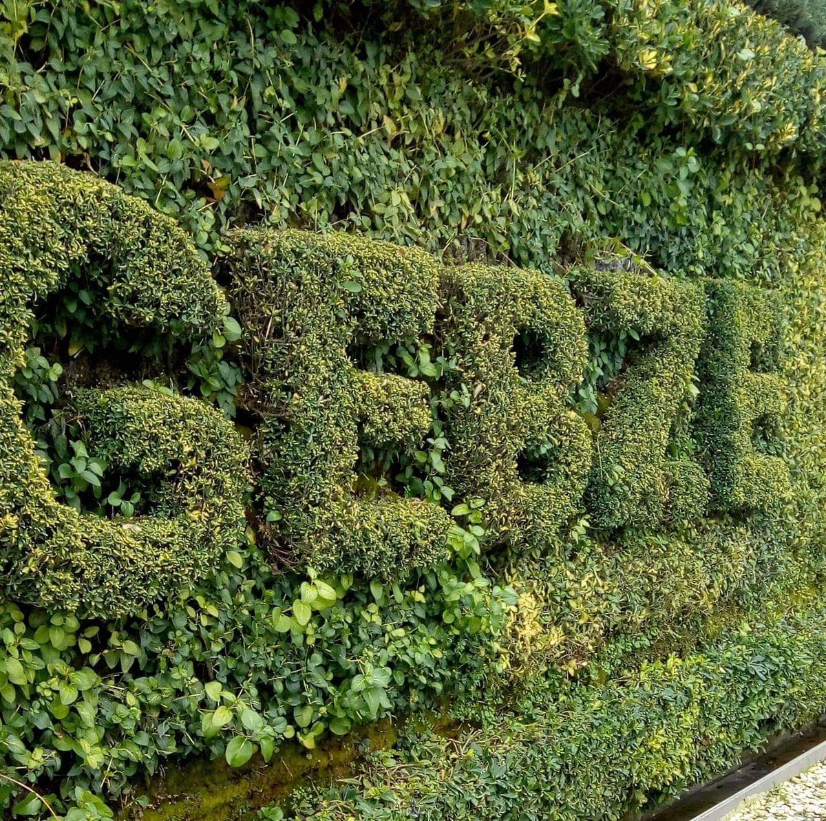 Gebzeden ciddi arkads larla tanismak istiyorum özelden resimlerini atin