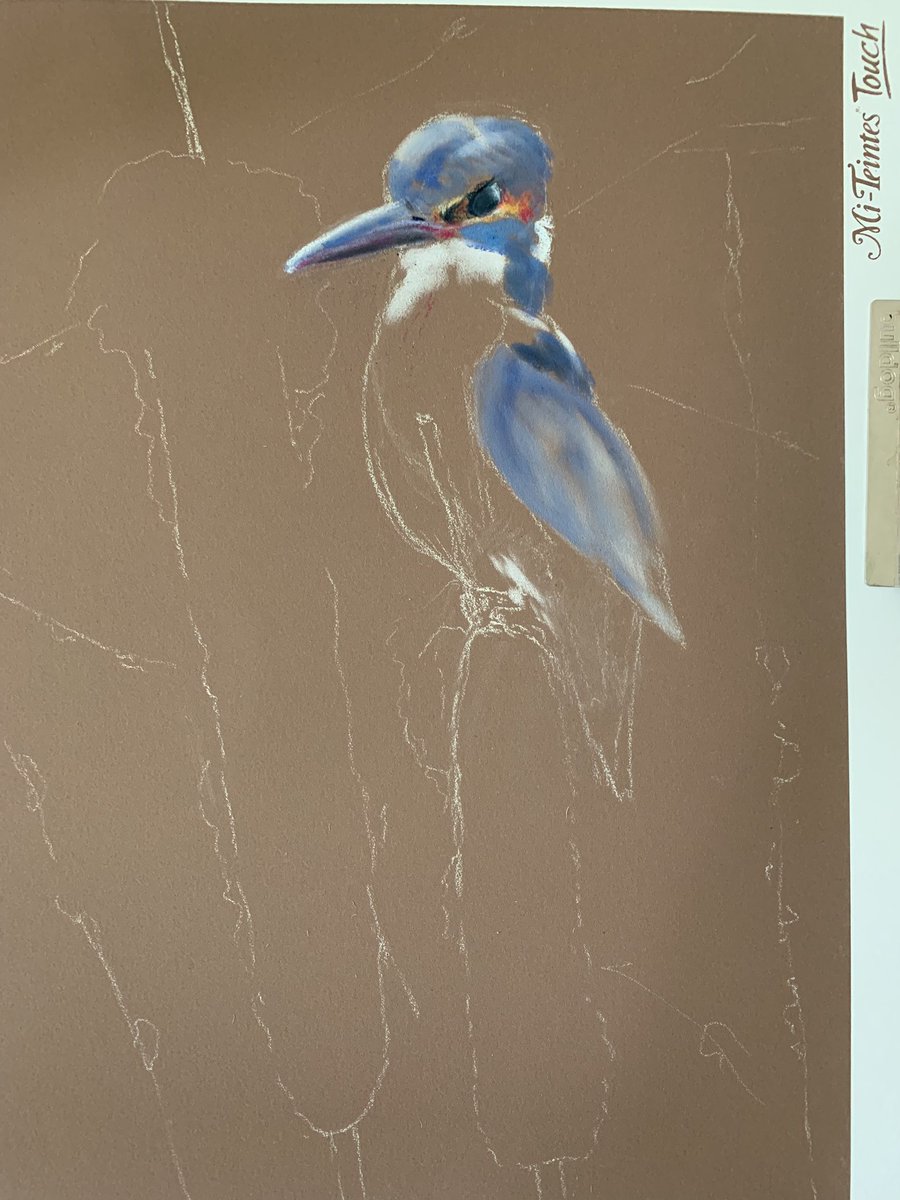 leonamartin2's tweet photo. Started a new pastel painting of a Kingfisher 
#artist #pastels #pastelart #artistoninstagram #art #artwork #drawing #painting #artoftheday #gallery #paint #instaart #creative #inspiration #animalart #animals #pastelpencils #creativearty #animalcreatives #panpastels #birds https://t.co/cQSMnk7evB