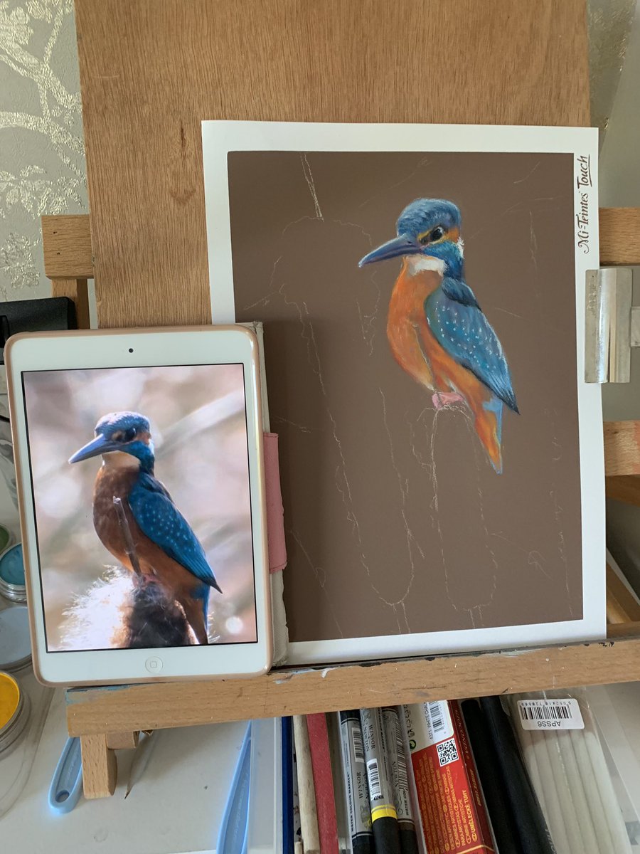leonamartin2's tweet photo. Started a new pastel painting of a Kingfisher 
#artist #pastels #pastelart #artistoninstagram #art #artwork #drawing #painting #artoftheday #gallery #paint #instaart #creative #inspiration #animalart #animals #pastelpencils #creativearty #animalcreatives #panpastels #birds https://t.co/cQSMnk7evB