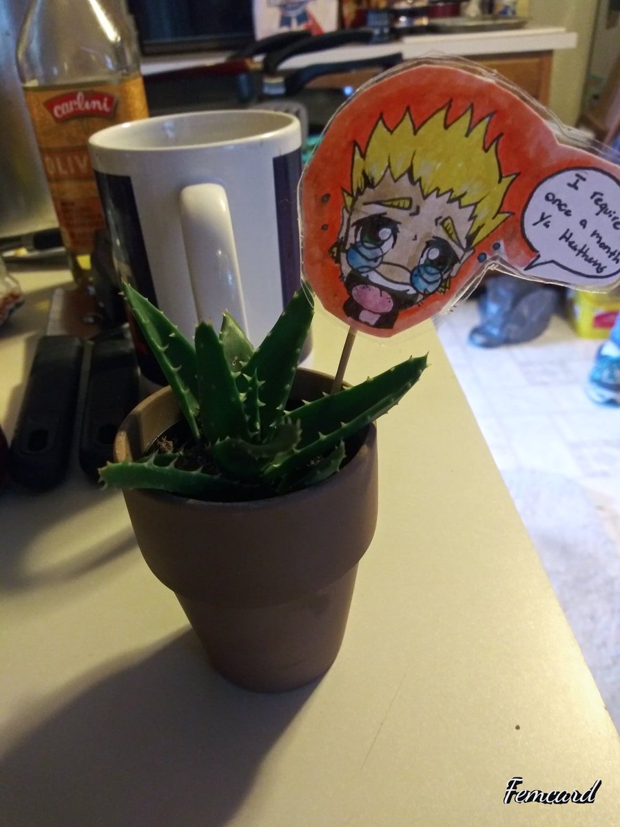 I didn't get to formally introduce to you (on Twitter) our silly addition. 
BEHOLD !!!!!  The Holy Crusader !!!
 The tiny ass Ander-Plant
 #hellsing #hellsingultimate #animejokes #plants #housejokes