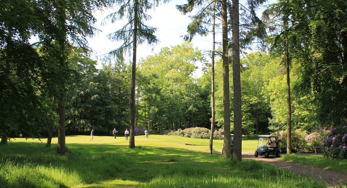 Experience a 4 Ball on the 18 hole Hawtree Course including a basket of balls to warm up with and bacon roll from £20 per golfer.

ruddingpark.co.uk/offers/golf/fo…