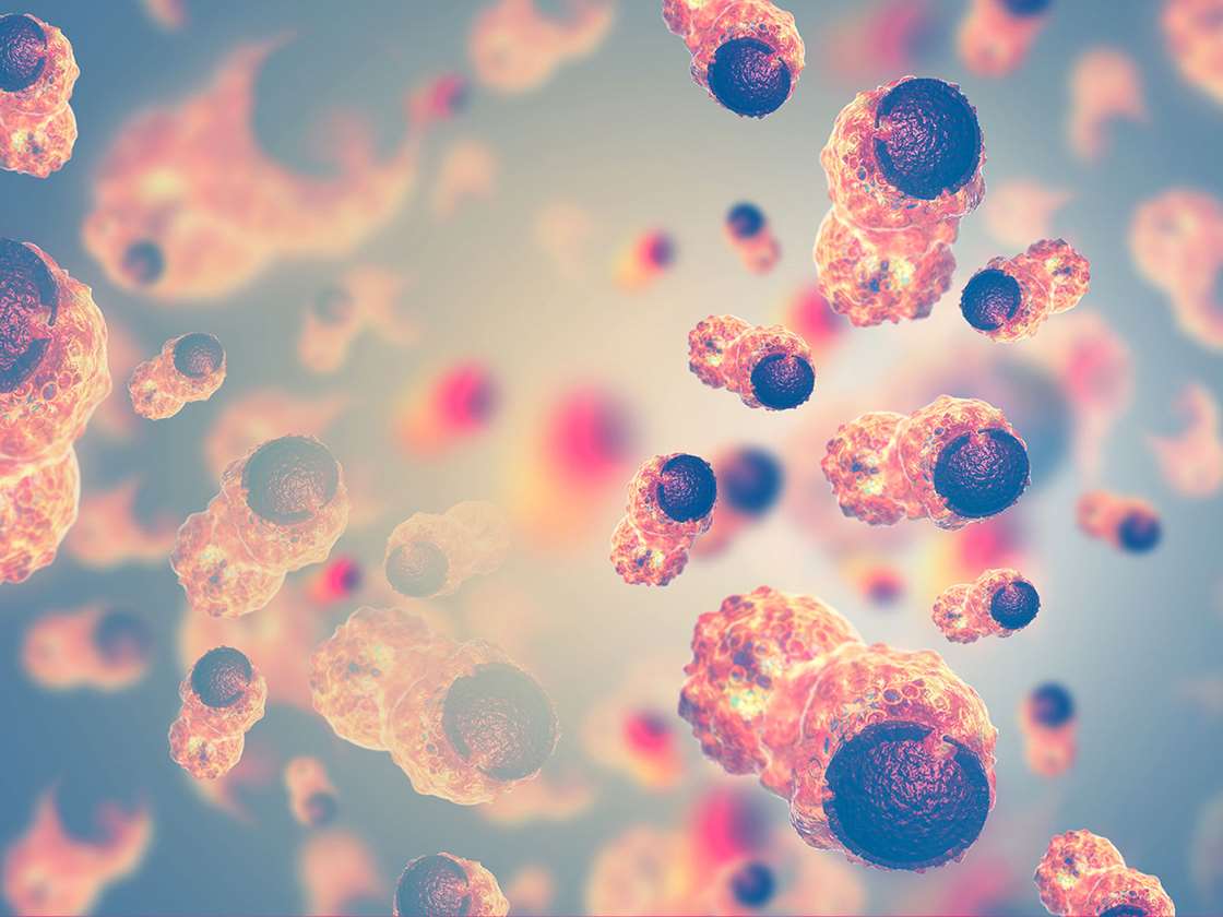 NitroDigital's tweet image. #Scientists aim to use new #approaches including #multidrug combination treatments and #artificialintelligence to predict and influence the evolution of #cancercells, creating weaknesses that treatments can exploit. @BBCTech 

bbc.co.uk/news/health-48…