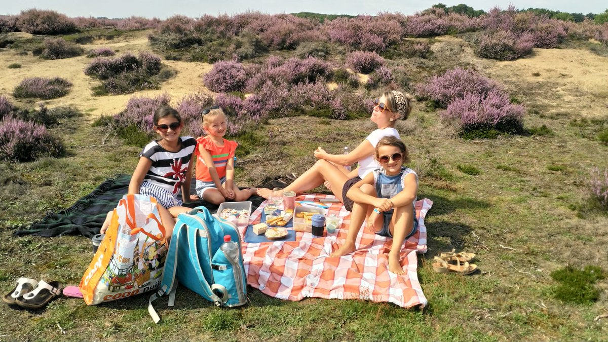 CockyDrost's tweet photo. Nou lieve regering @carolaschouten @hugodejonge @SanderDekker @arieslob @RaymondKnops e.v.a., jullie volk houdt ook een hei-dag hoor!
#heitea #heiwine #hetiserwelheivoor https://t.co/0ZP8NY2aOh