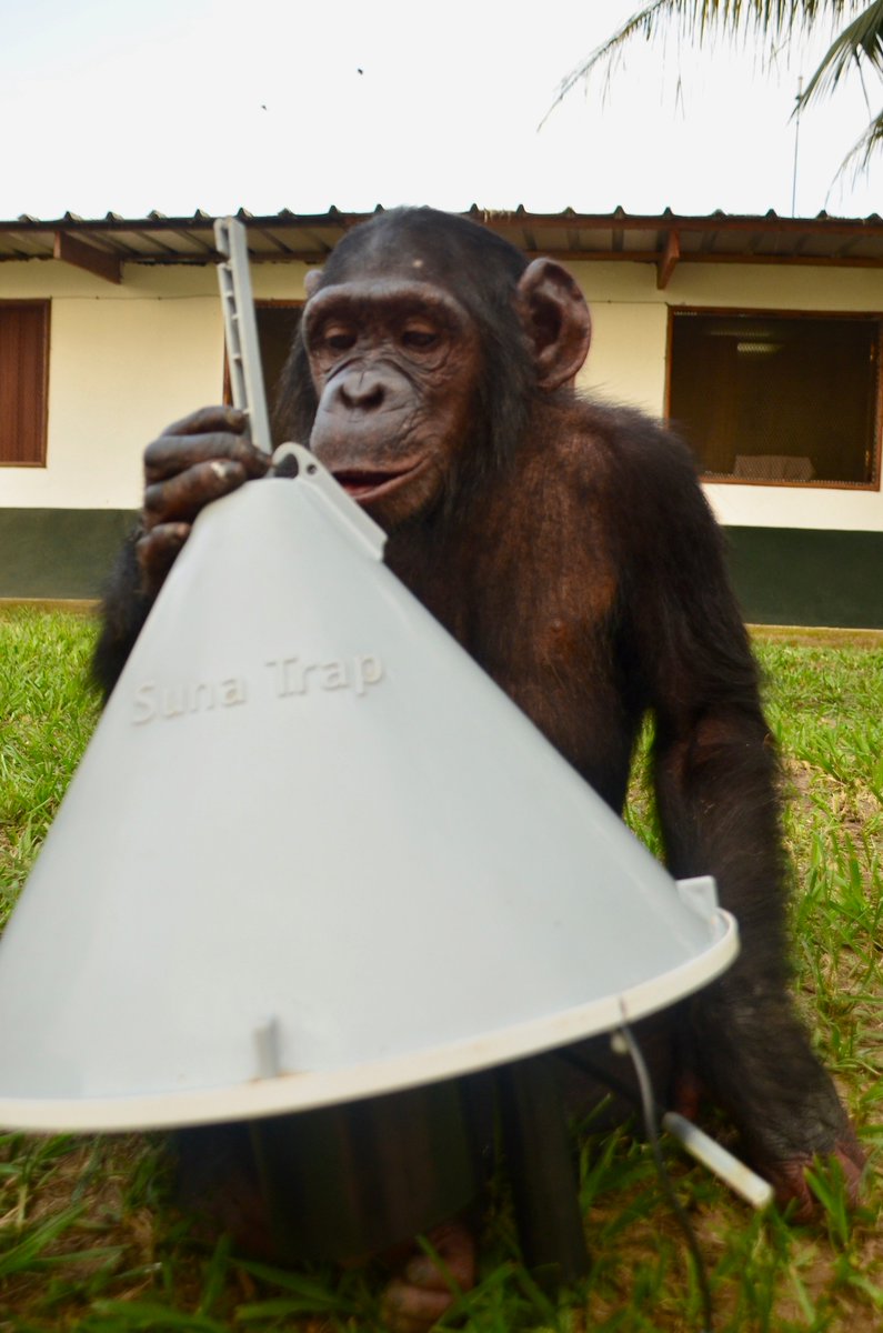 Attraction of mosquitoes to primate odours and implications for zoonotic Plasmodium transmission onlinelibrary.wiley.com/doi/10.1111/mv…