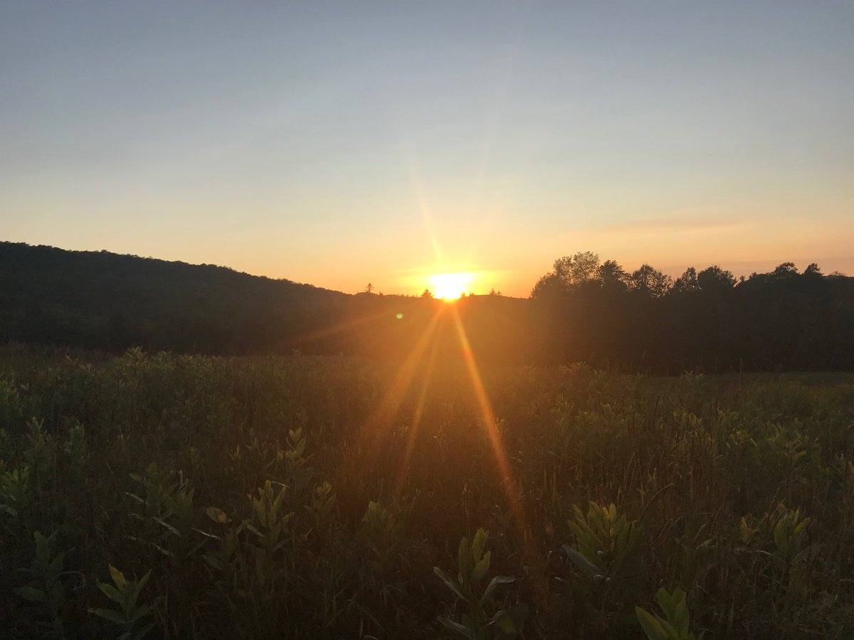 caitlindmcgill's tweet image. What a night reading with the rest of the #blwc19 staff. ❤️