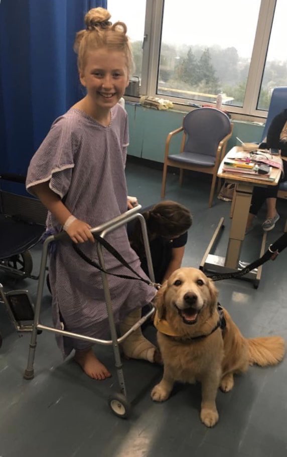 SuavesLomitos's tweet photo. Milo y Jesse son dos lomitos que trabajan en un hospital acompañando y demostrándole a los niños que le tienen miedo a ciertos exámenes que no hay nada que temer 🤗

Comparte para bendecir otro timeline 🐶 https://t.co/oa4K5cXtmZ
