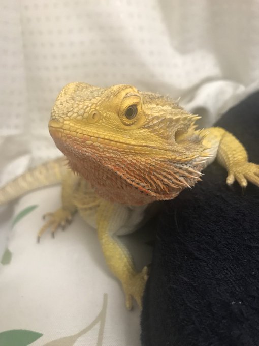 飛び降りのtwitterイラスト検索結果 古い順