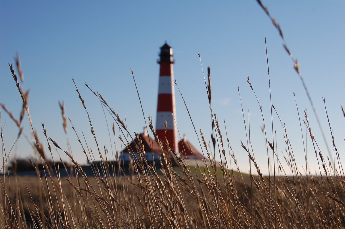 August 21, 1872 – This marks the first operational lighthouse at Chebucto Head, Nova Scotia. The lighthouse was also equipped with a steam fog horn.  The original lighthouse would remain operational until its expansion in 1928.  ow.ly/gZWc50v1nG2