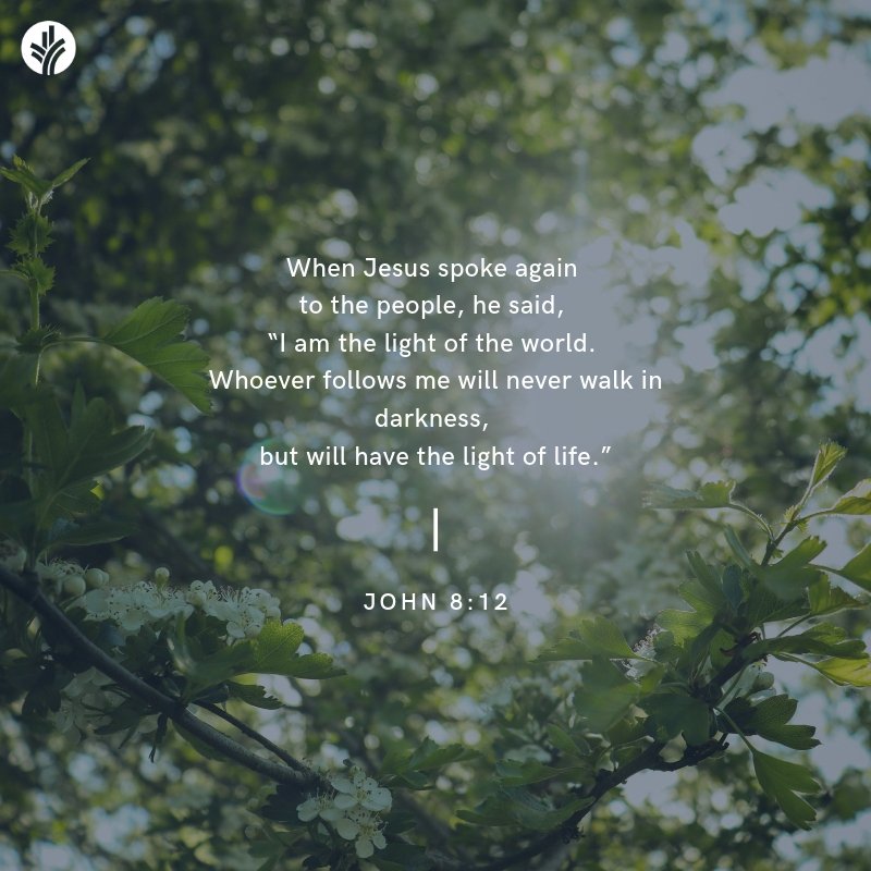 Discover The Word tweet media