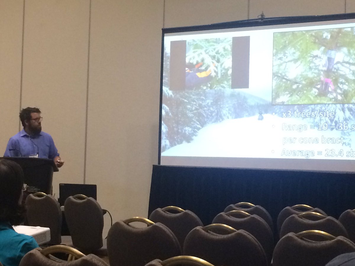Did you know that 75% of spruce budworm survive the winter?Great talk By Eric Moise on the overwintering ecology of budworm. #EcoEvoEnto2019 #CSEE2019