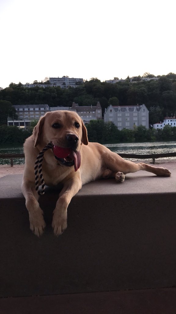 GillotLou's tweet photo. @NetFuneraire Très bien ❤️ https://t.co/myIMxk2iVe