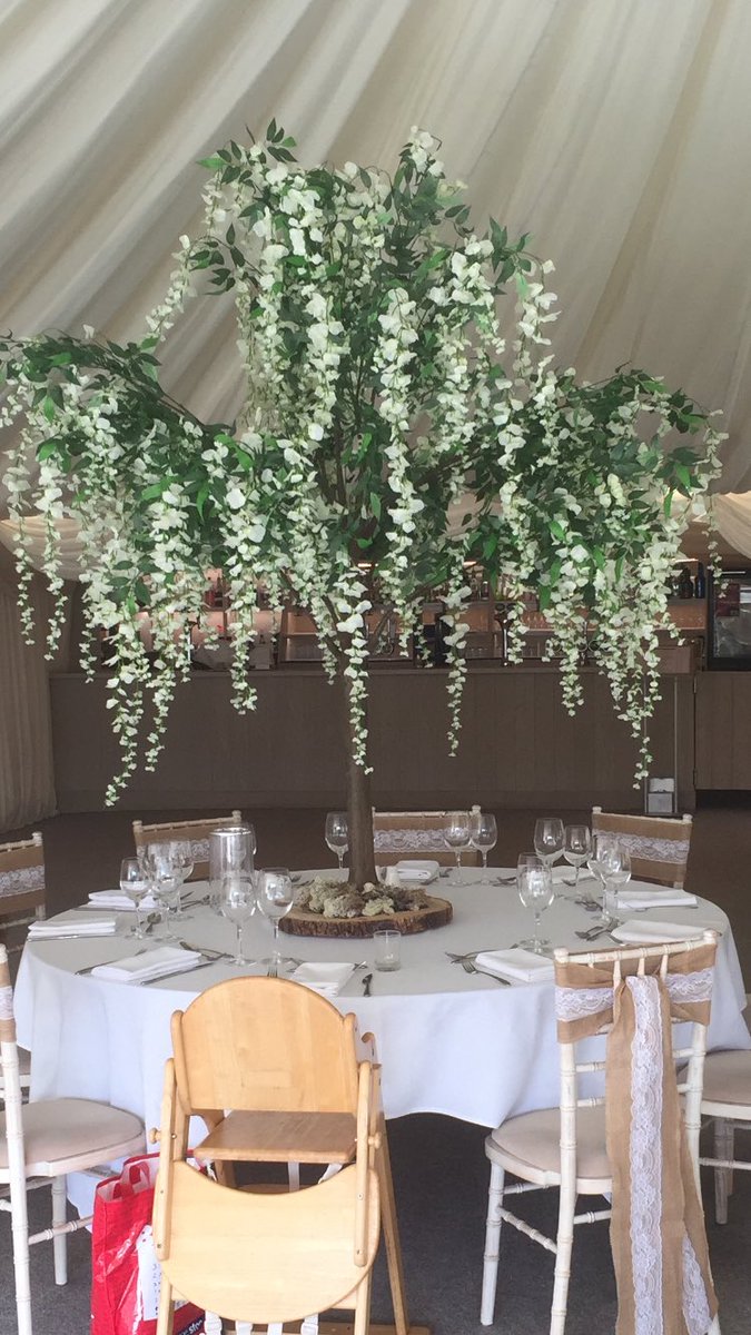 houseoftreesuk's tweet photo. Today’s wedding set up @ParleyManor #weddings #twilight wedding #eventprofs #weddingtrees https://t.co/b2EheHB1U6