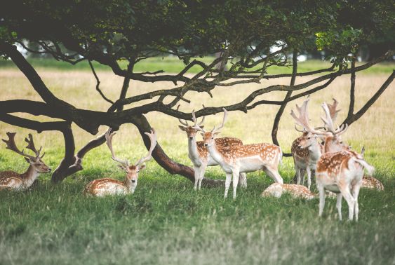 We've found the best motorway stops for families! bit.ly/2YKfXkf