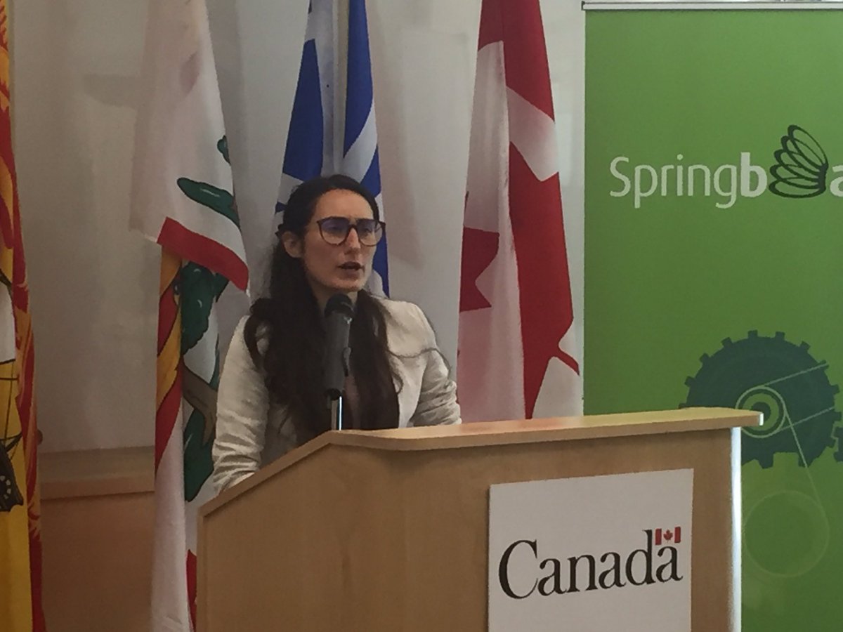 Springboard Atlantic tweet media