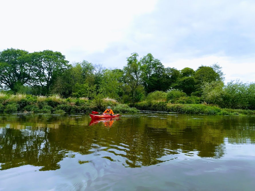 tours_perth's tweet photo. WILDLIFE SAFARI 🦅

The River Tay in Perth provides a fantastic location for wildlife spotting. We often see beavers, herons, oyster catchers &amp; king fishers..😊

#HistoricPerth #WildlifePerth #RiverTayPerth #PerthCityTours #PerthCityCulture https://t.co/xAhSeX4cdm