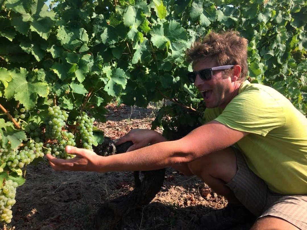 #WEDNESDAYSWITHWINEMAKERS is back, featuring Benjamin Delobel of #DomaineDelobel!!!⁠
—⁣⁠
⁠Even though Benjamin's background is in engineering, he decided to follow his true passion for wine and purchased his own vineyard in the #Touraine appellation in December 2013.⁠