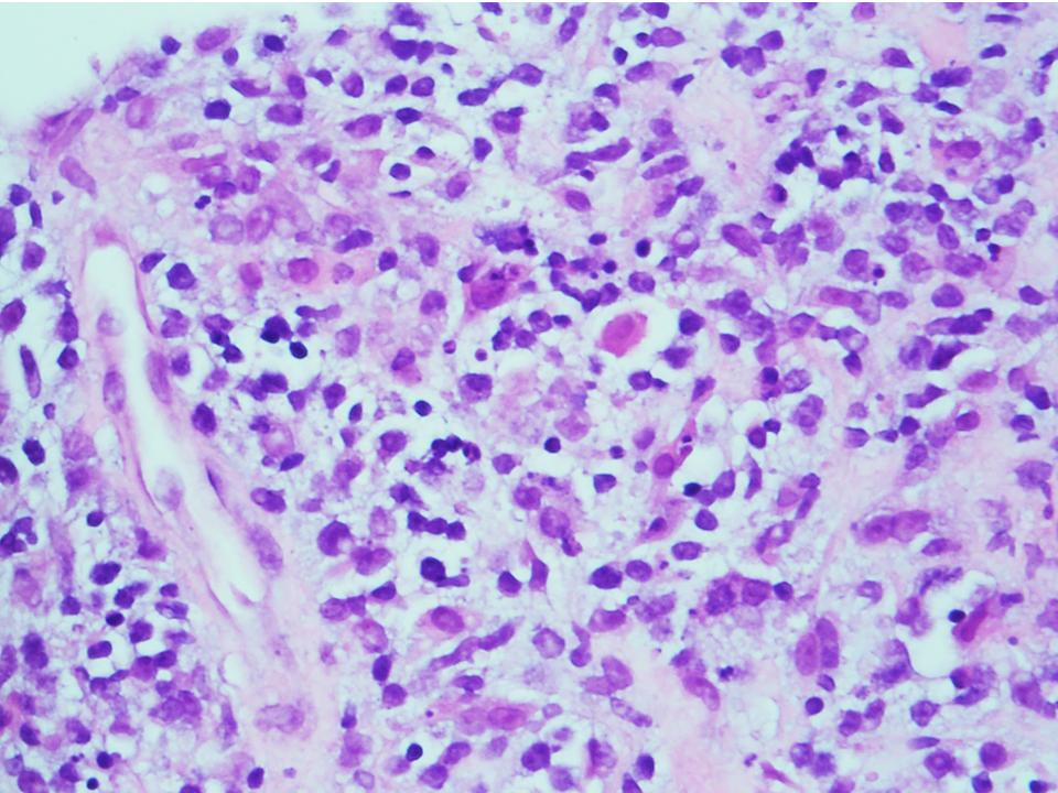 Siba El Hussein, MD tweet media