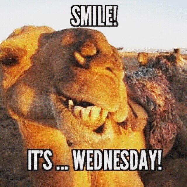 accuone's tweet photo. #HappyWednesday https://t.co/l7AE2P47tX