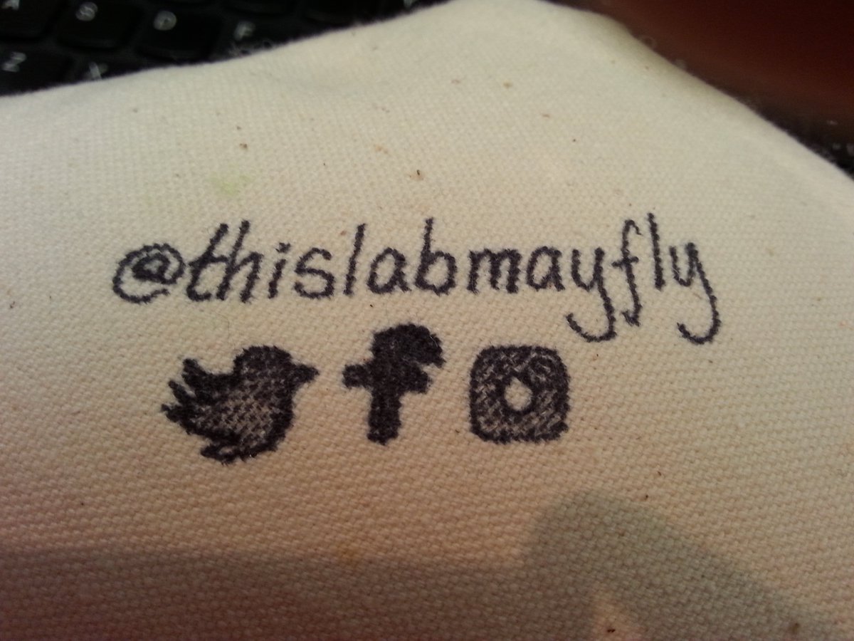 thislabmayfly's tweet photo. Our finished Hexagenia mayfly stuffie! We based this mayfly on the one from our logo design (which is our Twitter profile header). @EmHasMayflyCAD designed the original logo, and @MayflyCatherine did this needlepoint mayfly. 

#EcoEvoEnto2019 @CSEE_Meetings @CSEE_SCEE https://t.co/CXTpf2YBi5