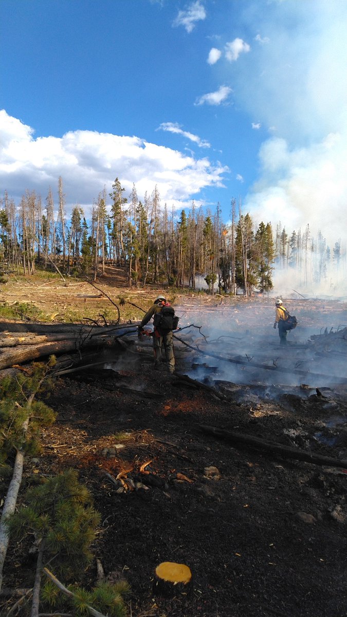 UWCNF's tweet photo. #uwcnf #Statelinefire, Evanston/Mt. View RD located 6 miles W of China Meadows campground 5 acres burning heavy slash, under investigation 50% contained. 40 firefighters today are continuing to build line to fully suppress the fire with the support of helicopters dropping water https://t.co/SkImrJR1bT