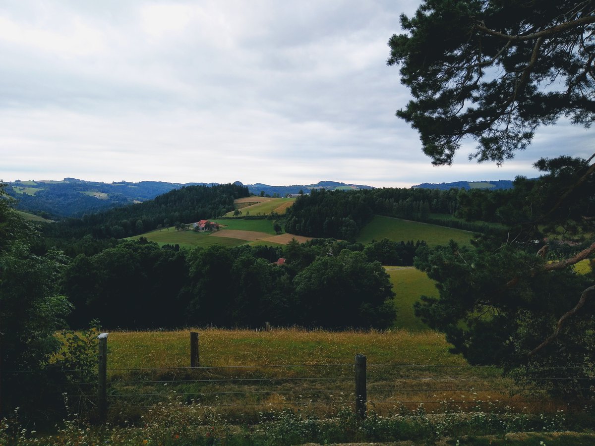 queersexcoach's tweet photo. First impressions from Sexolution festival β₯οΈ It's very pretty, and there are even some friends for the Clit π
#Sexolution #GoldenClitOnTour https://t.co/9B2vNqfuQV