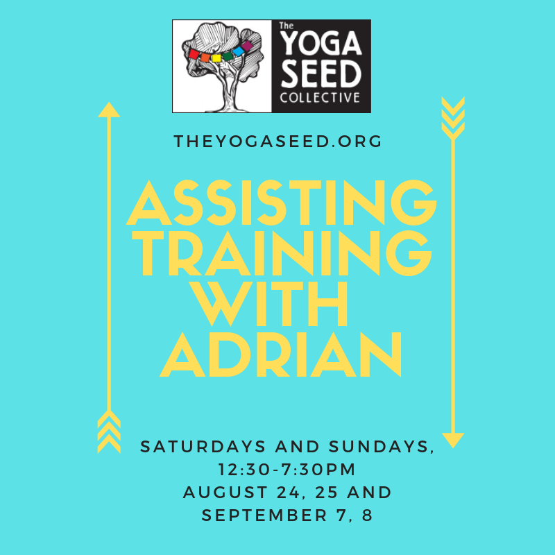 Yoga Seed Collective tweet media