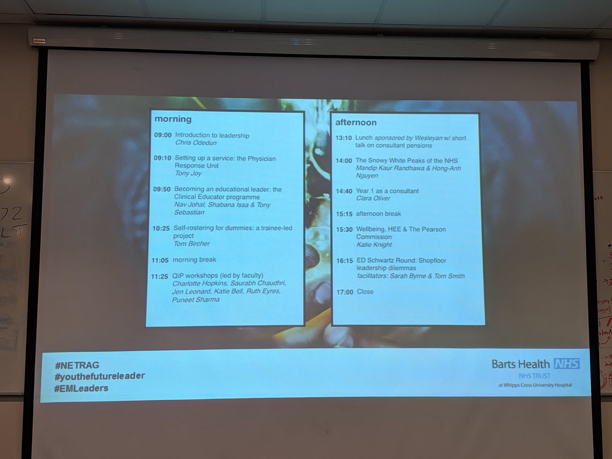 Miles Gandolfi tweet media