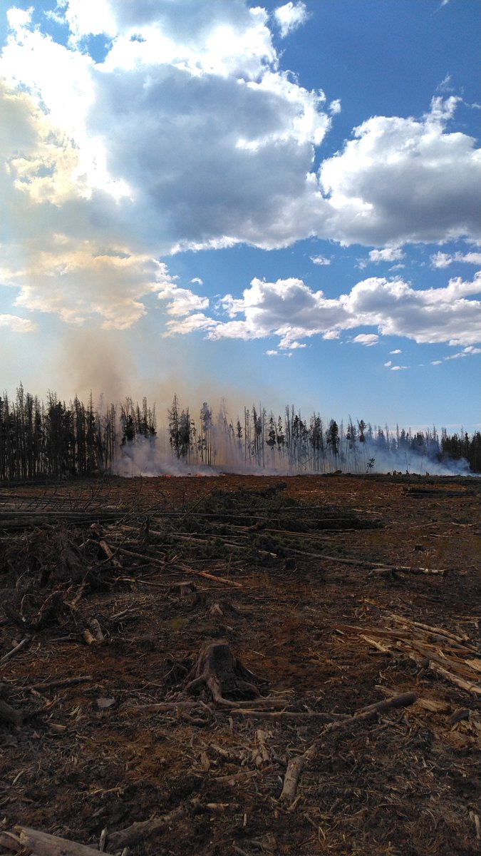 UtahWildfire's tweet photo. #uwcnf #Statelinefire, Evanston/Mt. View RD located 6 miles W of China Meadows campground 5 acres burning heavy slash, under investigation 50% contained. 40 firefighters today are continuing to build line to fully suppress the fire with the support of helicopters dropping water https://t.co/OGKBWJGeVw