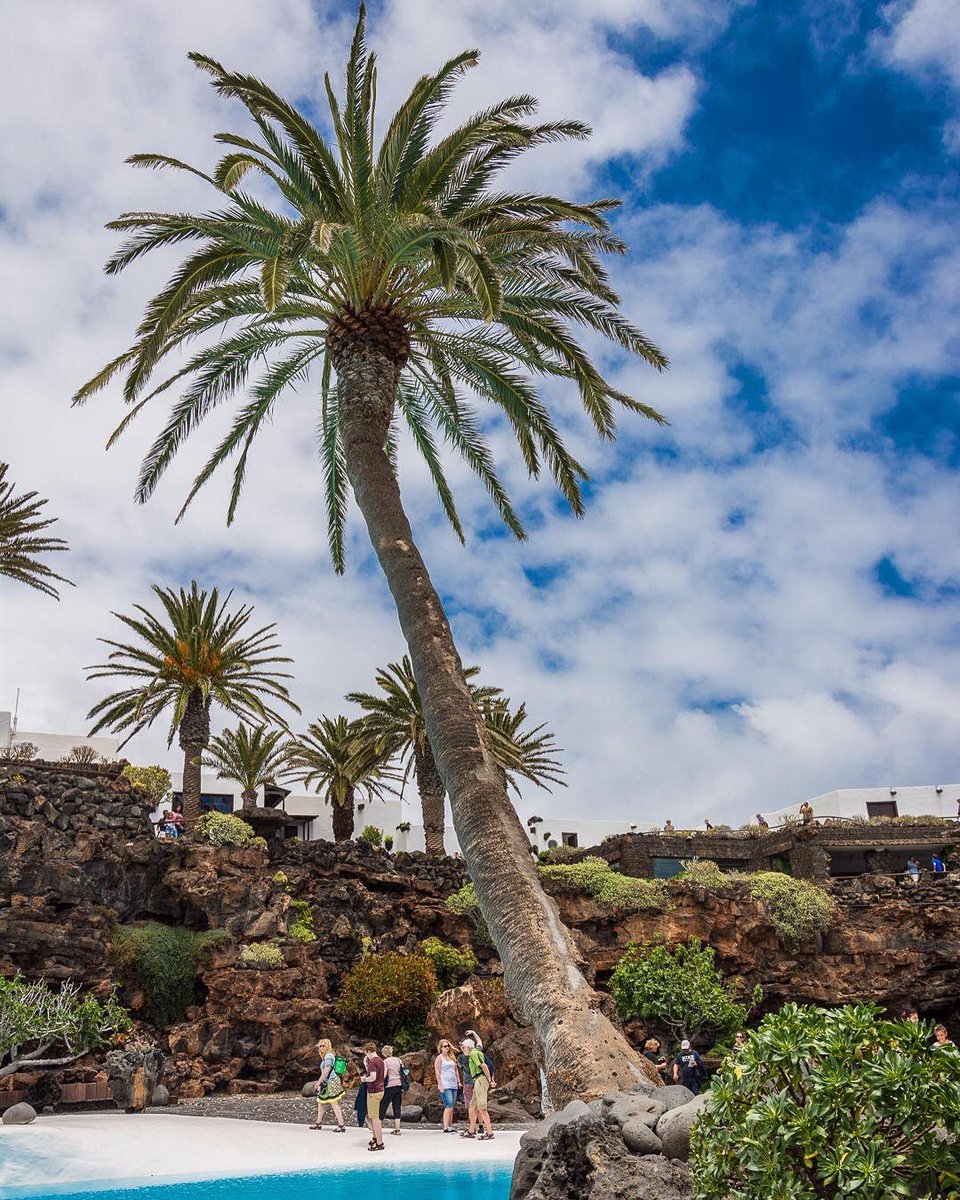 LanzaroteWorld's tweet photo. The palm in Jameos del Agua is probably the best known of the island.  A beaondering experience is the visit in the evening, when the illumination of this artwork shows in a different light.
.
#light #palm #art #artwork #sky https://t.co/n1Jh09vIkl