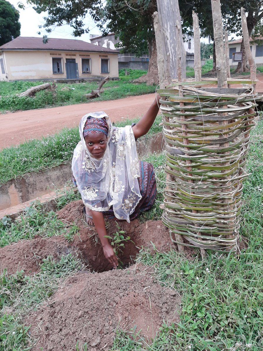 RSNetwork_'s tweet image. Finalized the Urbid Foundation #climatebaraza by planting trees around the administrative area of Sokode. As @WangariMaathai said it is the little things that citizens do! This
@HSF_Kenya
