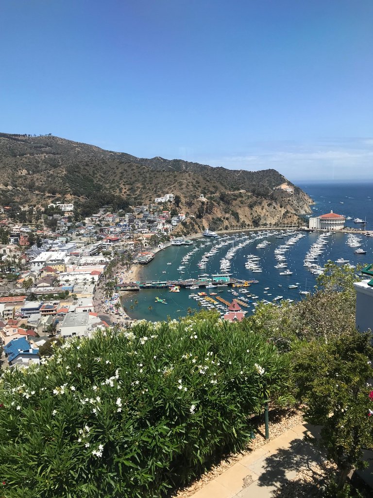 modluxsd's tweet photo. #EditorPickoftheWeek “On my visit to Catalina Island, I immediately found myself loving the South of France vibes, Hollywood history and all that baseball lore. Be sure and keep an eye out in October issue for my travel feature!"- EIC Casey Gillespie #ModernLuxury
⠀⠀ https://t.co/ijUIt4uJhP